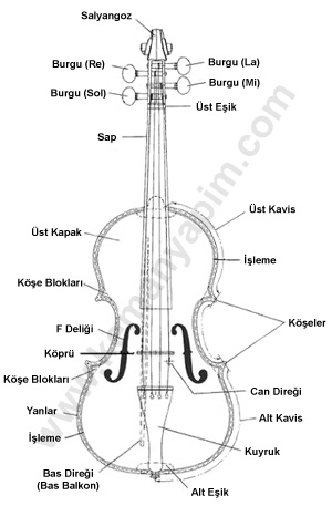 Kemanın Parçaları